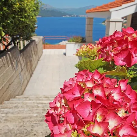 South Island Korčula