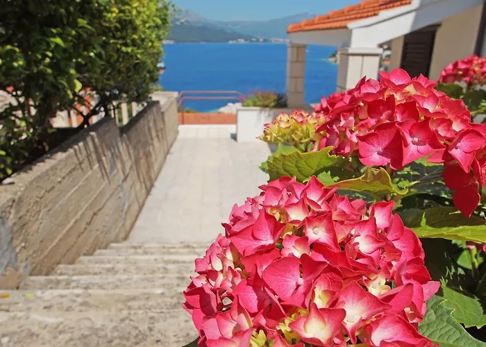 South Island Korčula